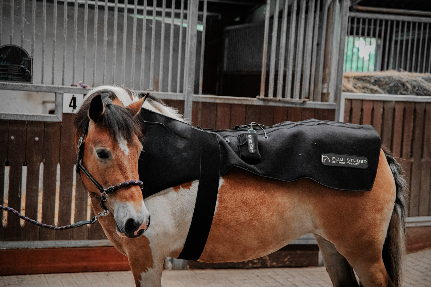 Equi Stüber Infrarotlichtdecke