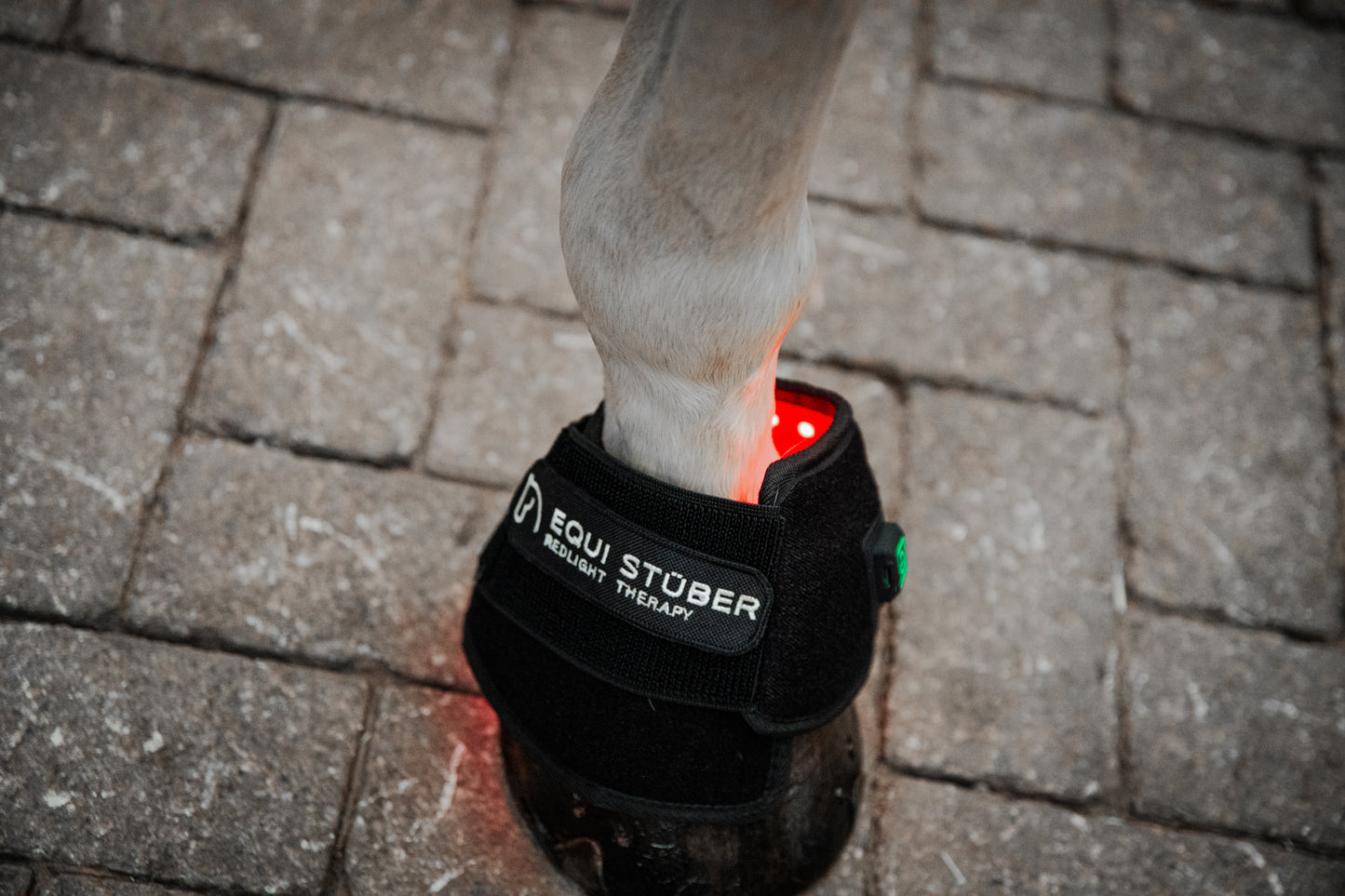 Equi Stüber Infrarotlicht Hufglocken 2er Set