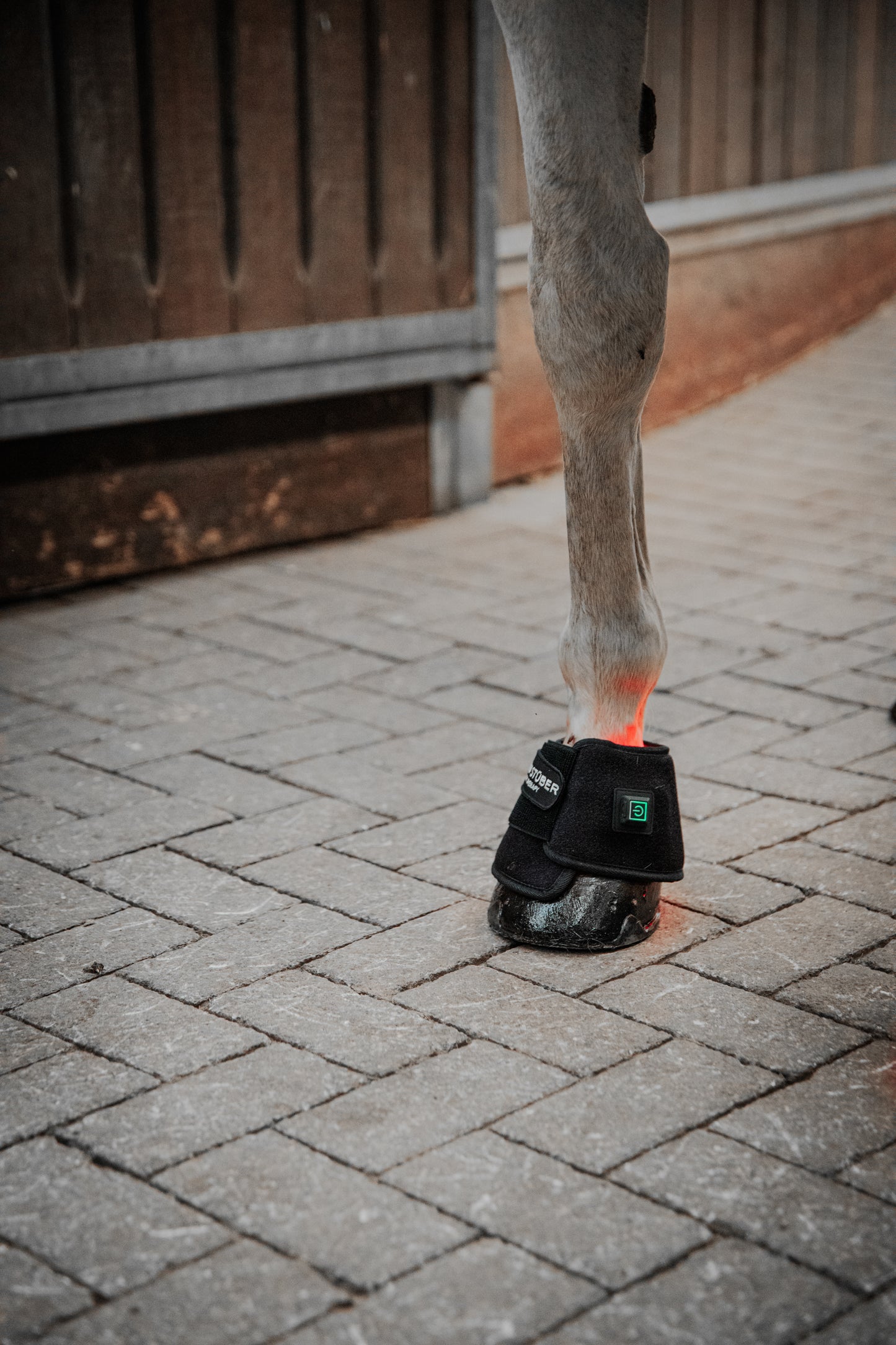 Equi Stüber Infrarotlicht Hufglocken 2er Set