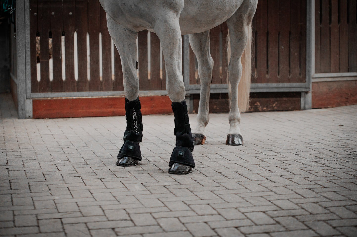 Equi Stüber Infrarotgamaschen 2er Set
